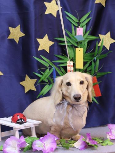 20230719シオンくん